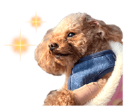 837850341