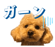 837850418