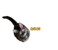 837850923