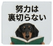 837851400