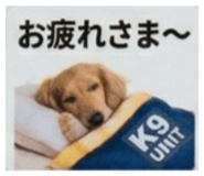 837851403