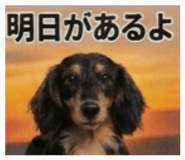 837851423
