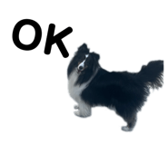 837851652