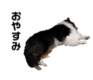 837851654