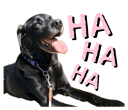 837852107