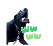 837852111