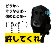 837852113