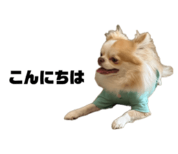 837853543