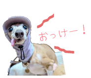 837854459
