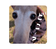 837854462