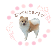 837859829