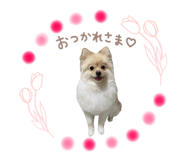 837859830