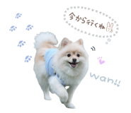 837859837