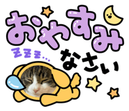837867954