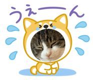 837867959