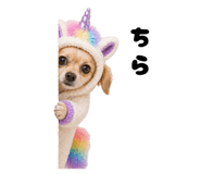837869406
