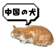 837869892