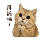 837870323