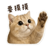 837870333