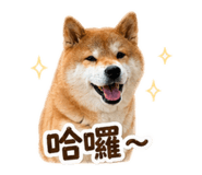 837870425