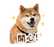 837870428