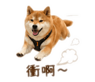 837870431