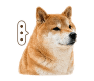 837870435