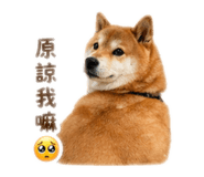 837870437