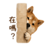 837870440