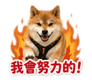 837870441