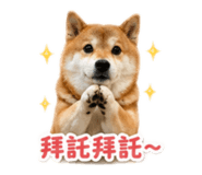837870445