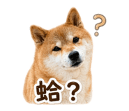 837870447