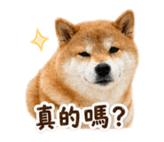 837870451