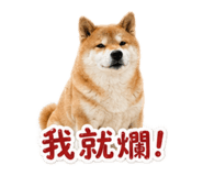 837870453