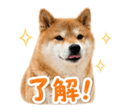 837870455