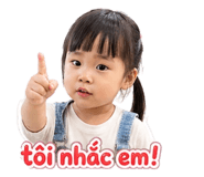 837871647