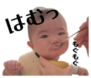 837876681