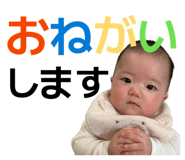 837876687