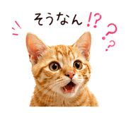 837877457