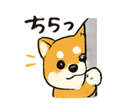 837877479