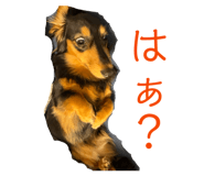 837878935