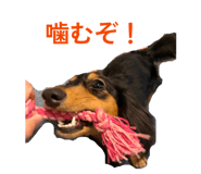 837878936