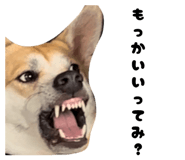 837878986