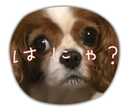 837878991