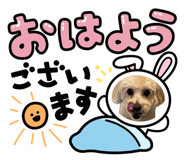837879160