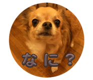 837879665