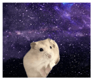 837880868