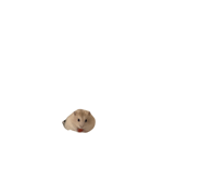 837880880