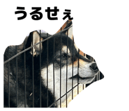 837881099