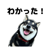 837881101